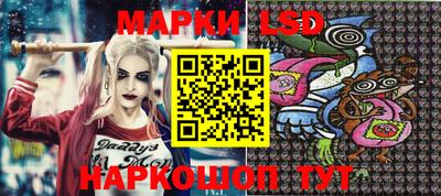 стаф Кимры