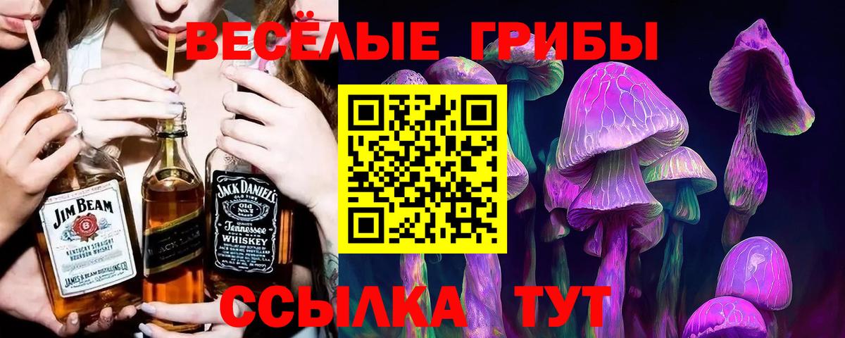 Кашира  Псилоцибиновые грибы Magic Shrooms  Вход с VPN  Галлюциногенные грибы Psilocybine cubensis 